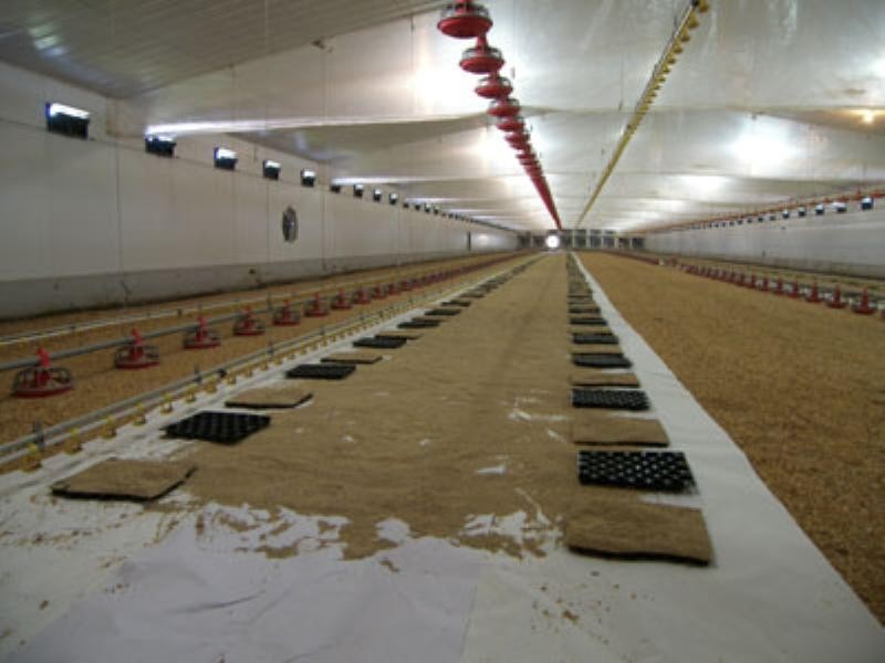 0 Mount Walker West Road, Rosevale QLD 4340