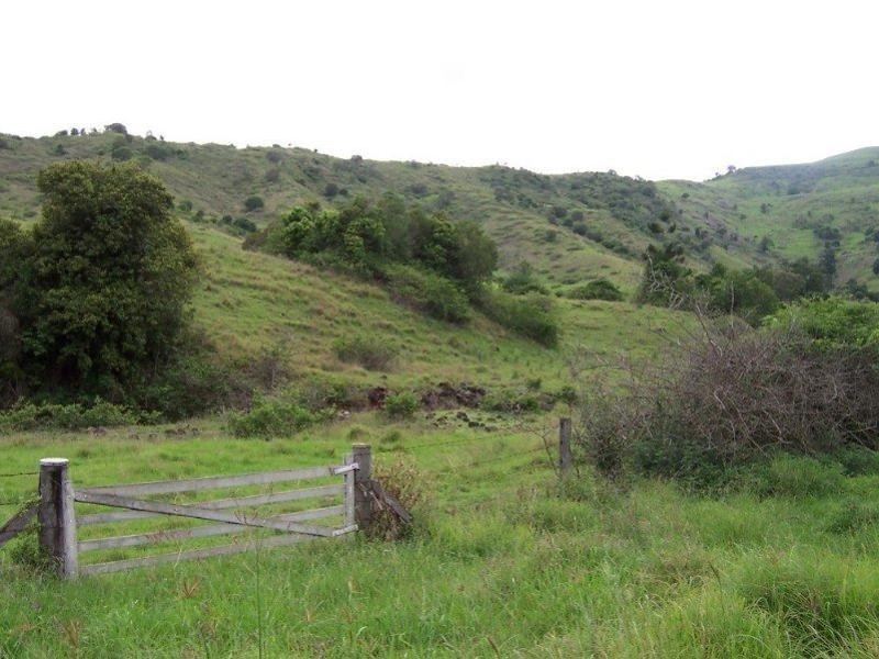 Lot 16 Little Flying Fox Road, Canungra QLD 4275