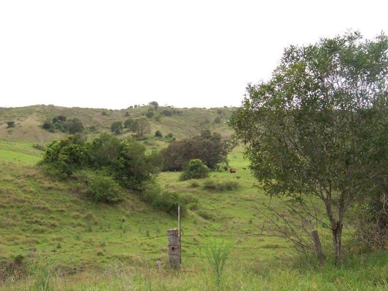 Lot 16 Little Flying Fox Road, Canungra QLD 4275