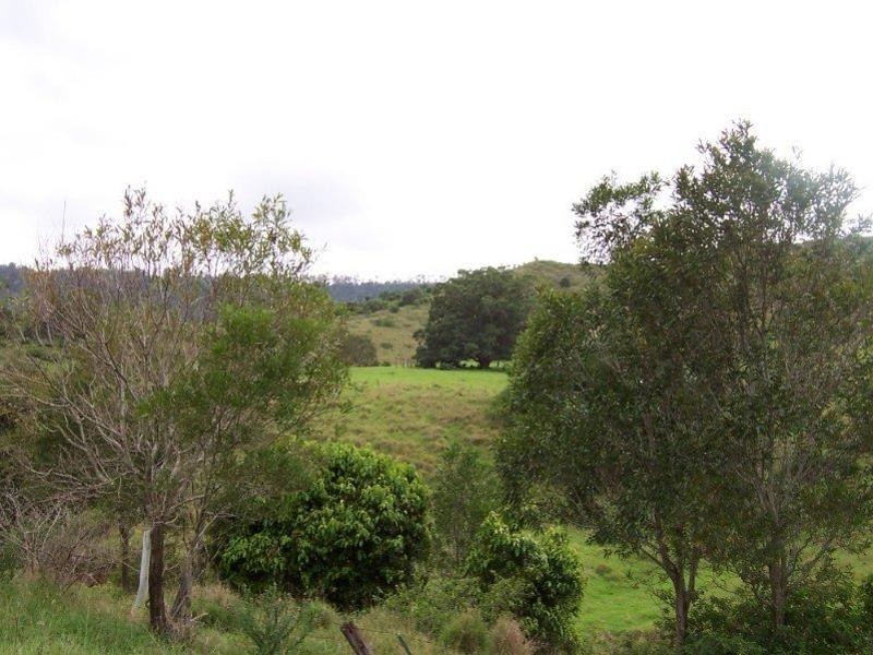 Lot 16 Little Flying Fox Road, Canungra QLD 4275