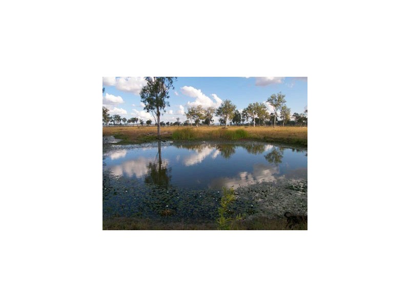 0 T Morrows Road, Purga QLD 4306