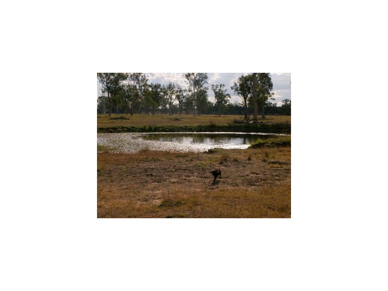 0 T Morrows Road, Purga QLD 4306