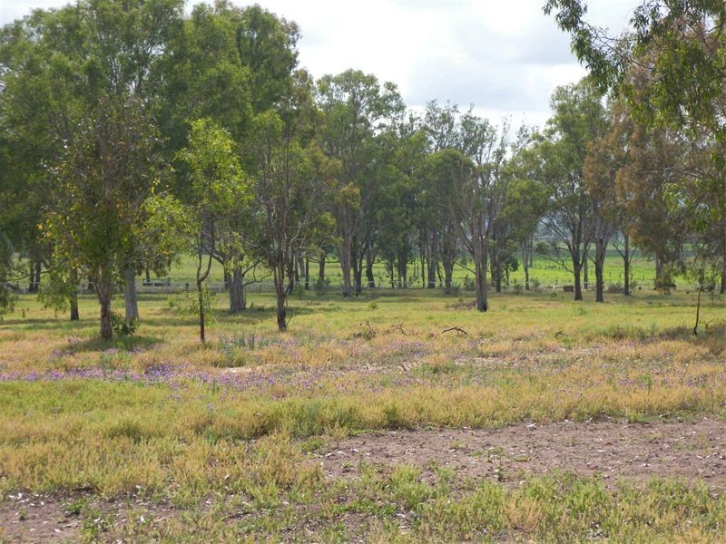 149 Sandy Creek Road, Bromelton QLD 4285