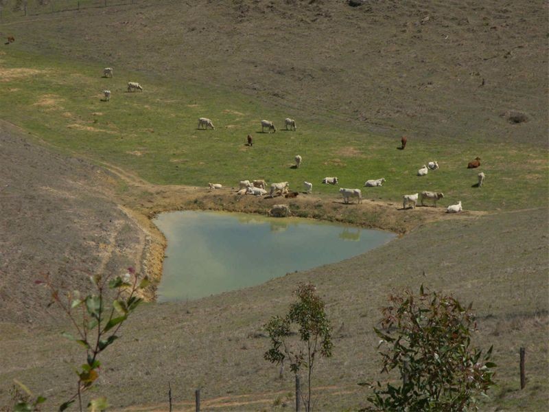 380 Kooralbyn Road, Kooralbyn QLD 4285