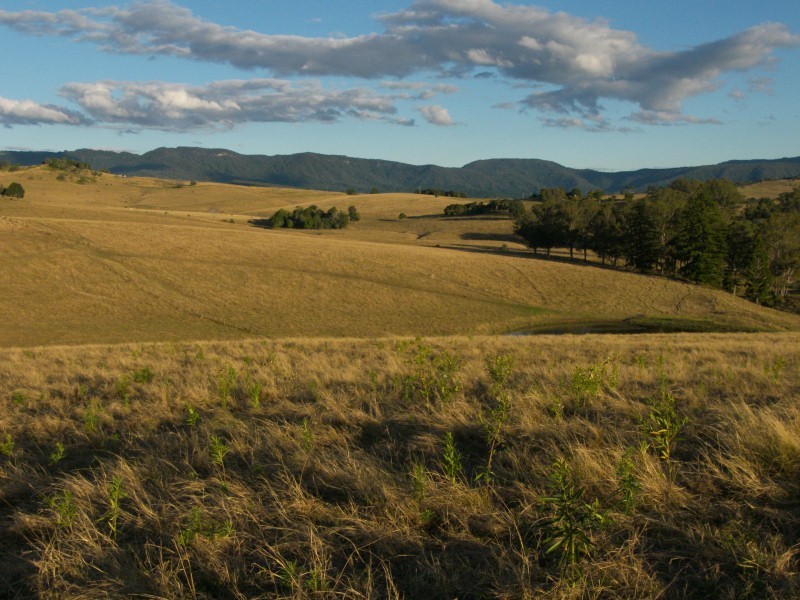 267 Mount Barney Road, Barney View, Rathdowney QLD 4287