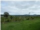 Veresdale QLD 4285