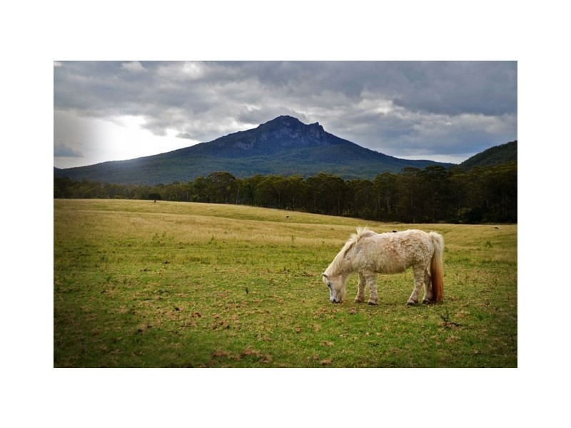 821 Upper Logan Road, Mount Barney QLD 4287