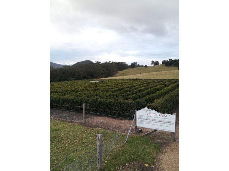 821 Upper Logan Road, Mount Barney QLD 4287