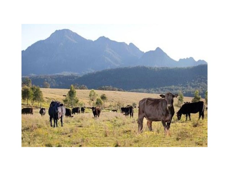 821 Upper Logan Road, Mount Barney QLD 4287