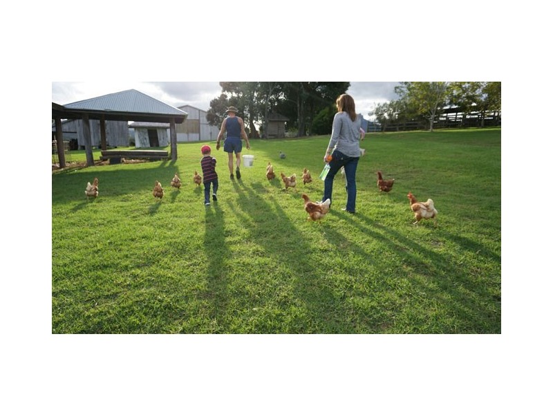 821 Upper Logan Road, Mount Barney QLD 4287