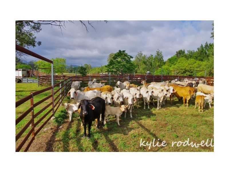 Lot 6 and 8 Carneys Creek Road, Croftby QLD 4310