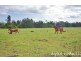 Lot 6 and 8 Carneys Creek Road, Croftby QLD 4310