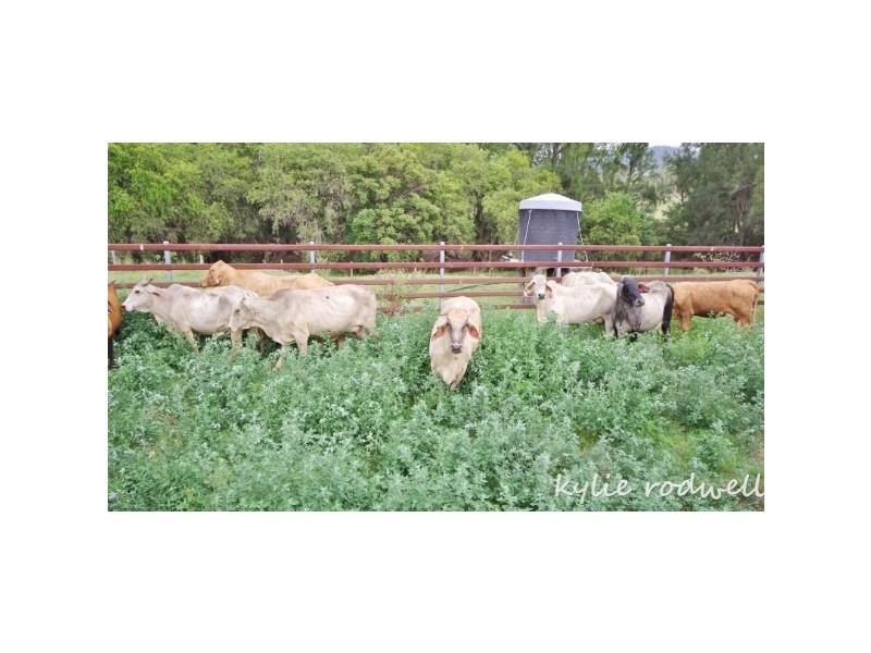 Lot 6 and 8 Carneys Creek Road, Croftby QLD 4310