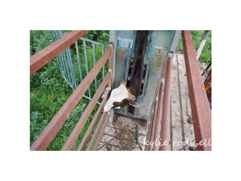 Lot 6 and 8 Carneys Creek Road, Croftby QLD 4310