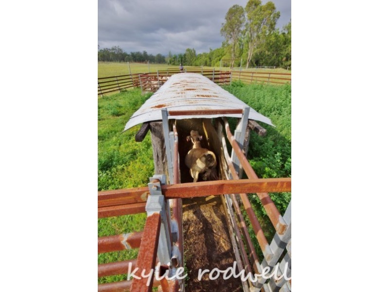 Lot 6 and 8 Carneys Creek Road, Croftby QLD 4310