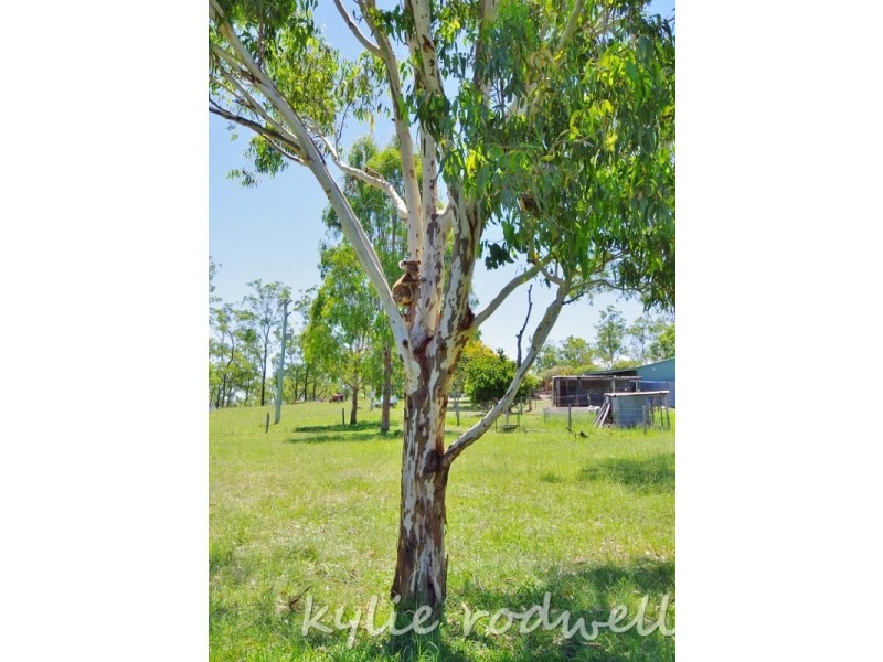 175 Milbong Road, Milbong QLD 4310