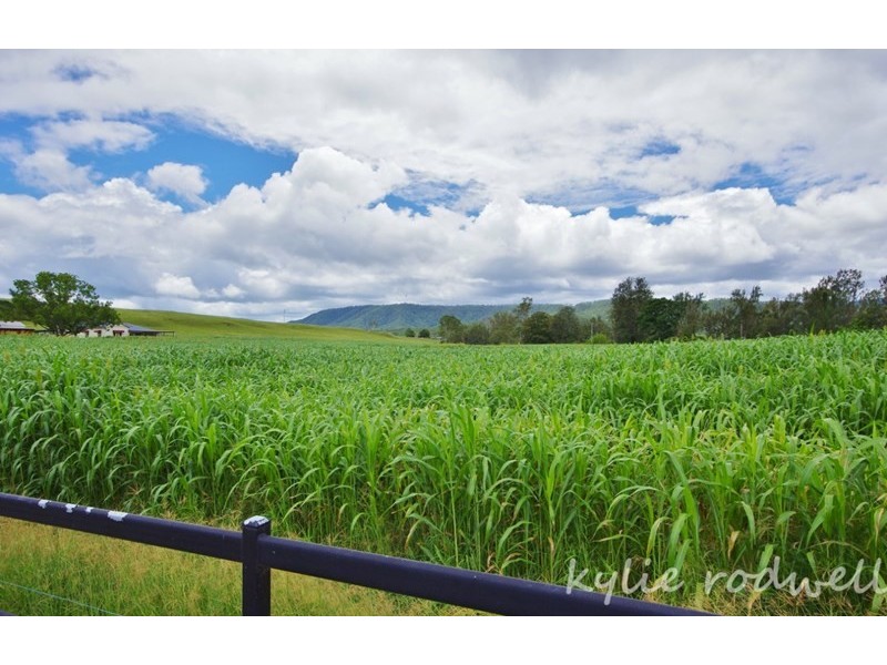 Lot 10 Haack Road, Christmas Creek QLD 4285