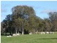 ‘Oakvale’ 181 Strong Road (off Fedamore Rd), Christmas Creek QLD 4285