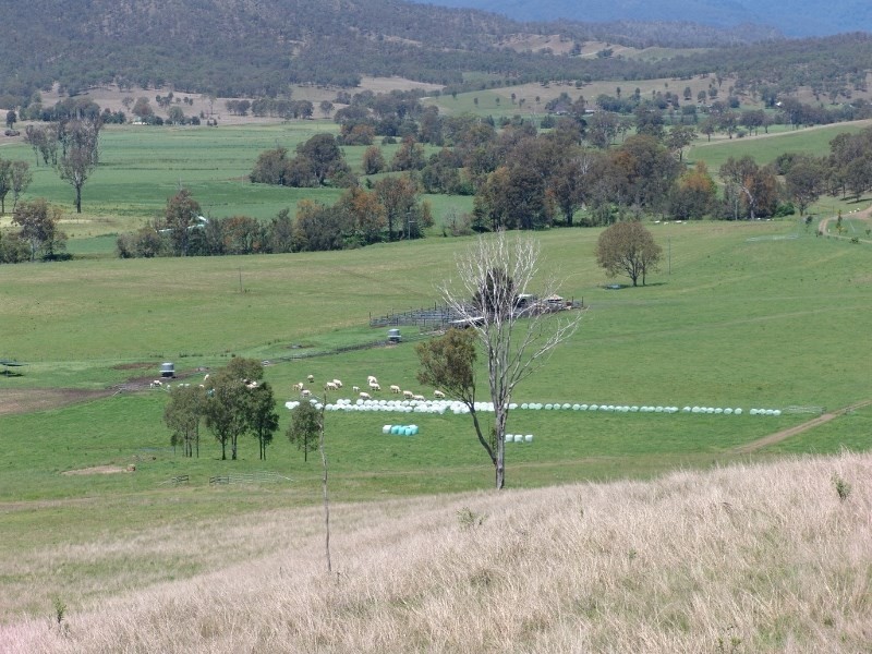 ‘Oakvale’ 181 Strong Road (off Fedamore Rd), Christmas Creek QLD 4285