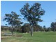 ‘Oakvale’ 181 Strong Road (off Fedamore Rd), Christmas Creek QLD 4285