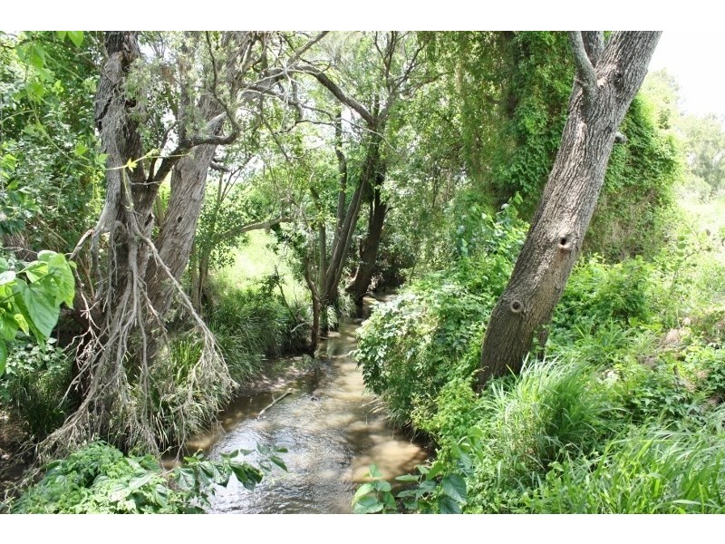 306 Tramway Road, Christmas Creek QLD 4285