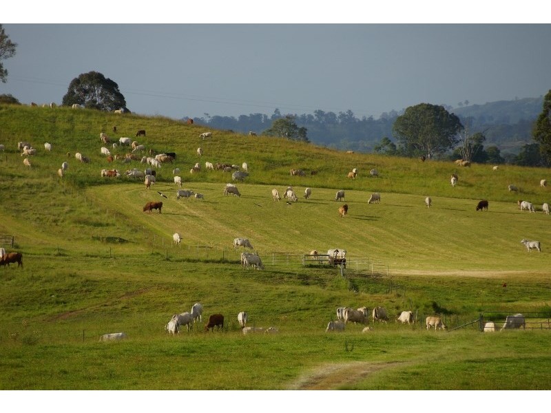 ‘Oakvale’ 181 Strong Road (off Fedamore Rd), Christmas Creek QLD 4285