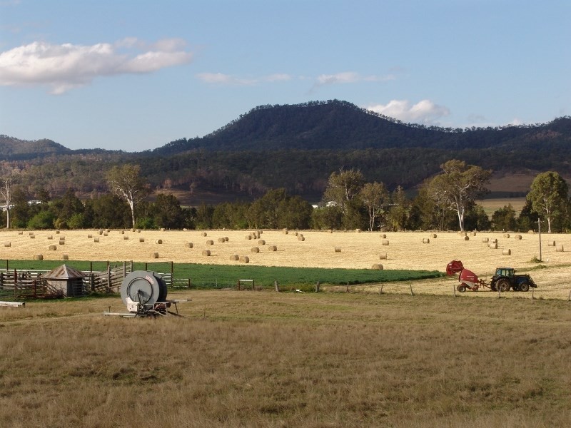 ‘Oakvale’ 181 Strong Road (off Fedamore Rd), Christmas Creek QLD 4285