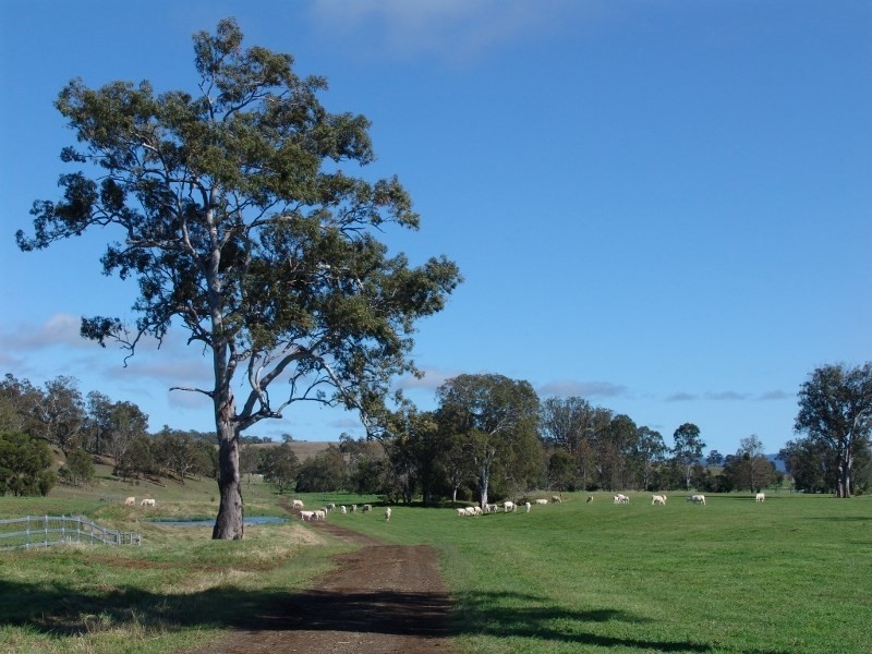 ‘Oakvale’ 181 Strong Road (off Fedamore Rd), Christmas Creek QLD 4285
