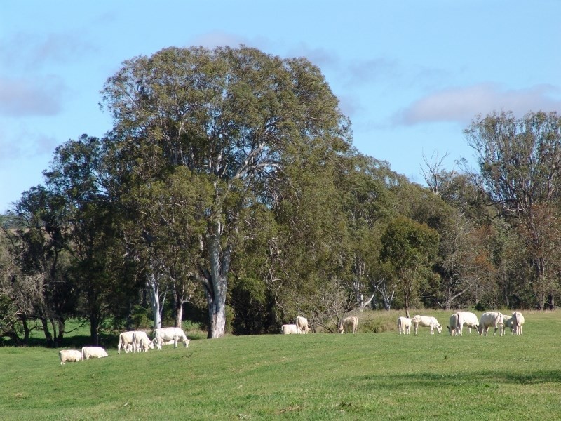‘Oakvale’ 181 Strong Road (off Fedamore Rd), Christmas Creek QLD 4285
