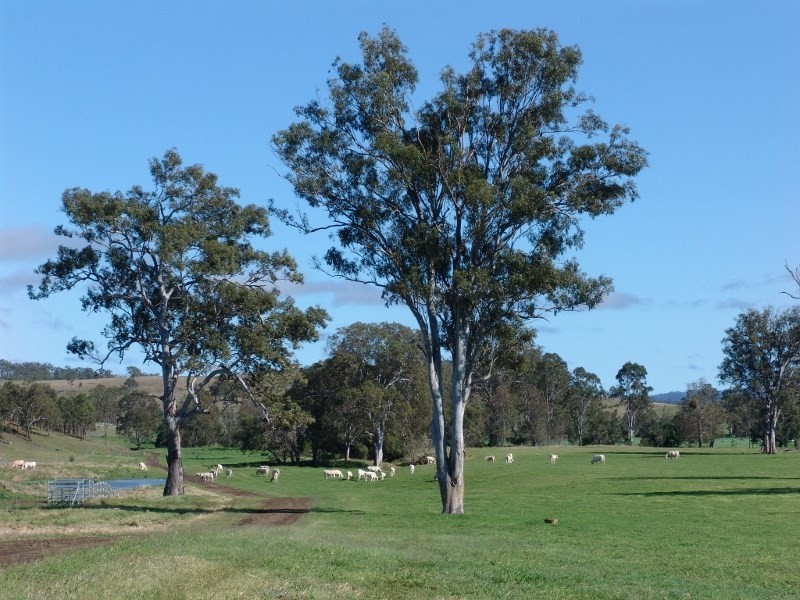 ‘Oakvale’ 181 Strong Road (off Fedamore Rd), Christmas Creek QLD 4285