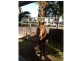 189 Lupton Road, Beaudesert QLD 4285