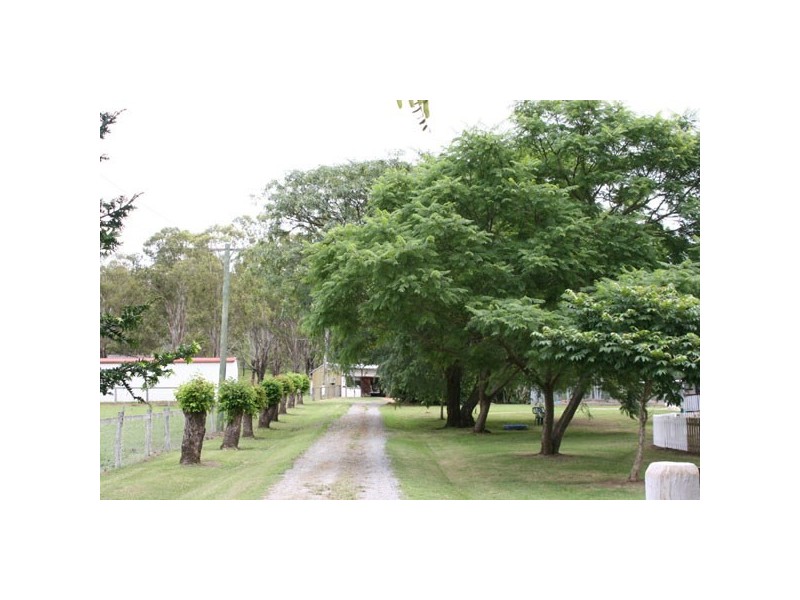 1040 Kerry Road, Kerry QLD 4285