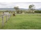1040 Kerry Road, Kerry QLD 4285