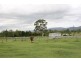 1040 Kerry Road, Kerry QLD 4285