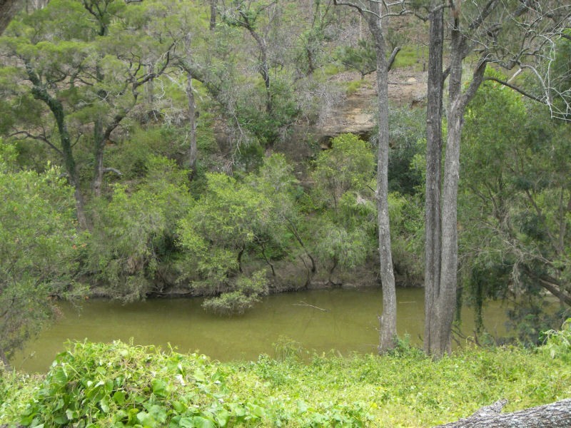 8 Forest Home Road Rathdowney, Beaudesert QLD 4285