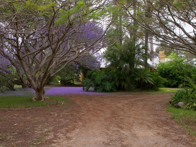 198 Bluff Road, Veresdale Scrub QLD 4285