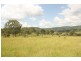 444 Cainbable Creek Road, Cainbable QLD 4285