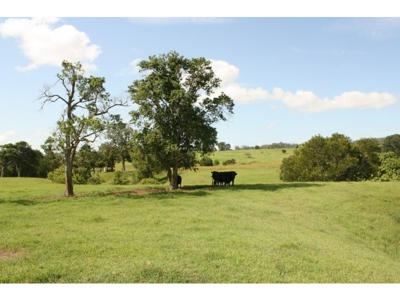 67 Remould Court, Veresdale QLD 4285