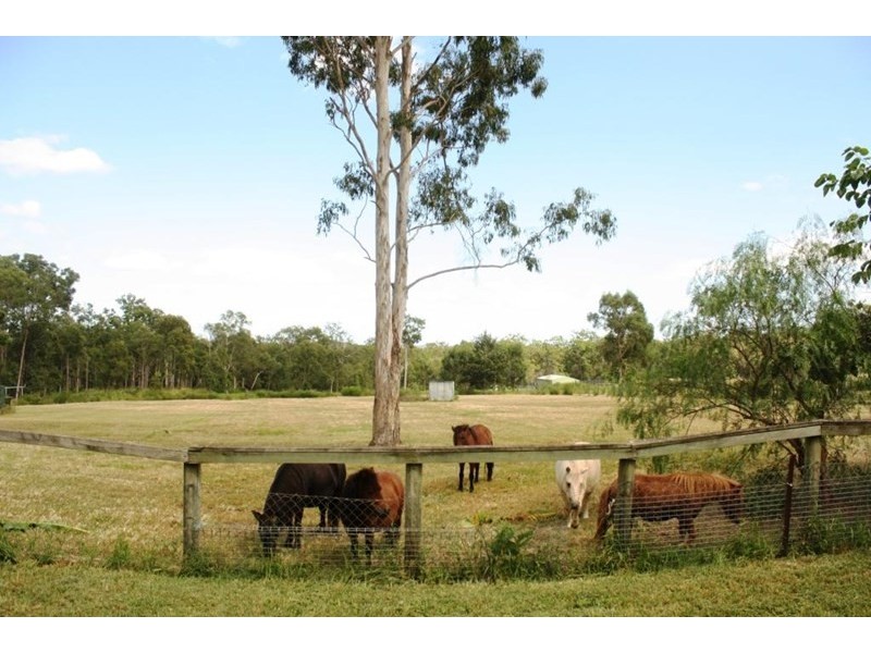 19 Plantation Road, Tamborine QLD 4270