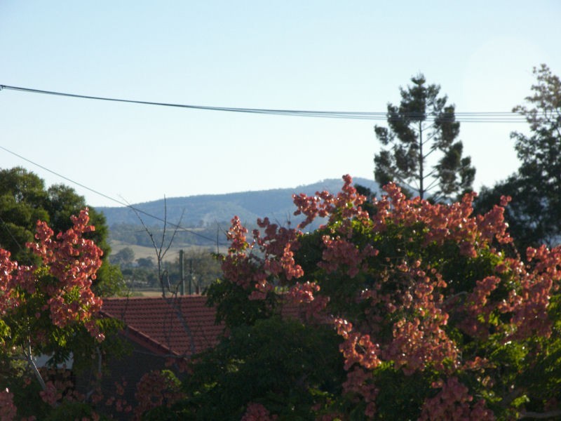 13 Dunsinane Street, Beaudesert QLD 4285