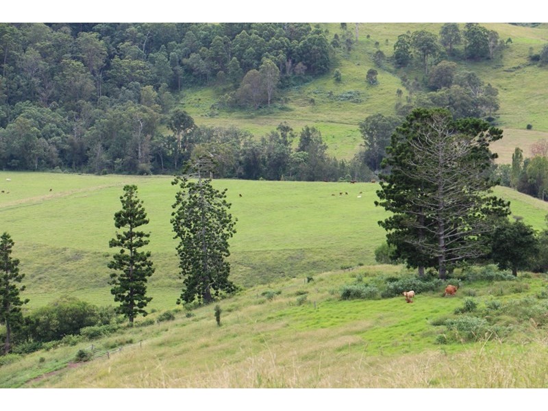 2007 Running Creek Road, Running Creek QLD 4287