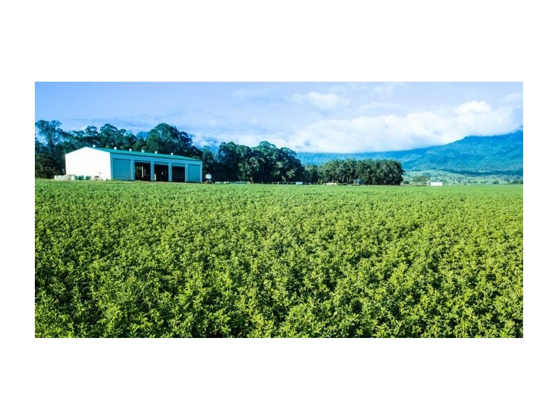 255 Dwyer Road, Tarome QLD 4309