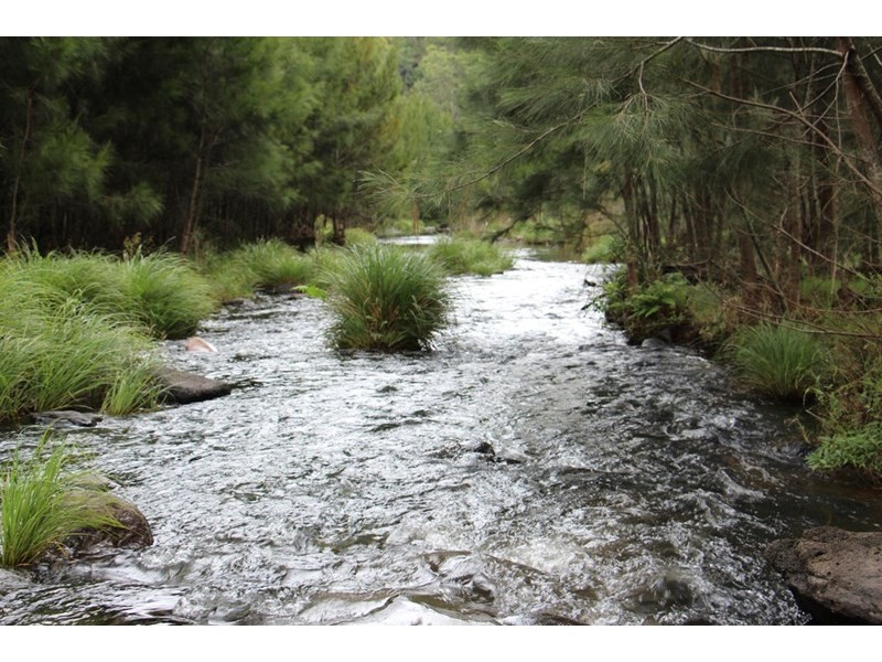 0 Running Creek Road, Running Creek QLD 4287