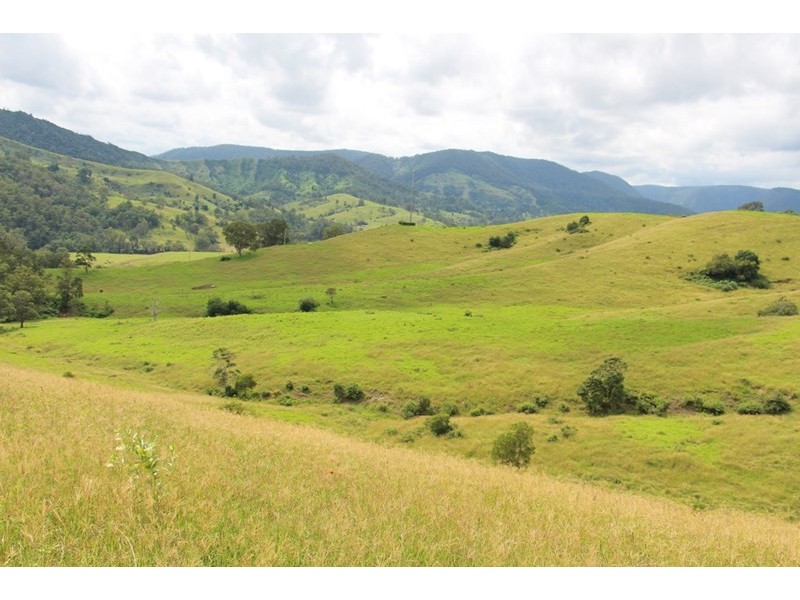 0 Running Creek Road, Running Creek QLD 4287