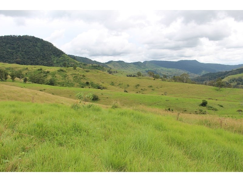 0 Running Creek Road, Running Creek QLD 4287