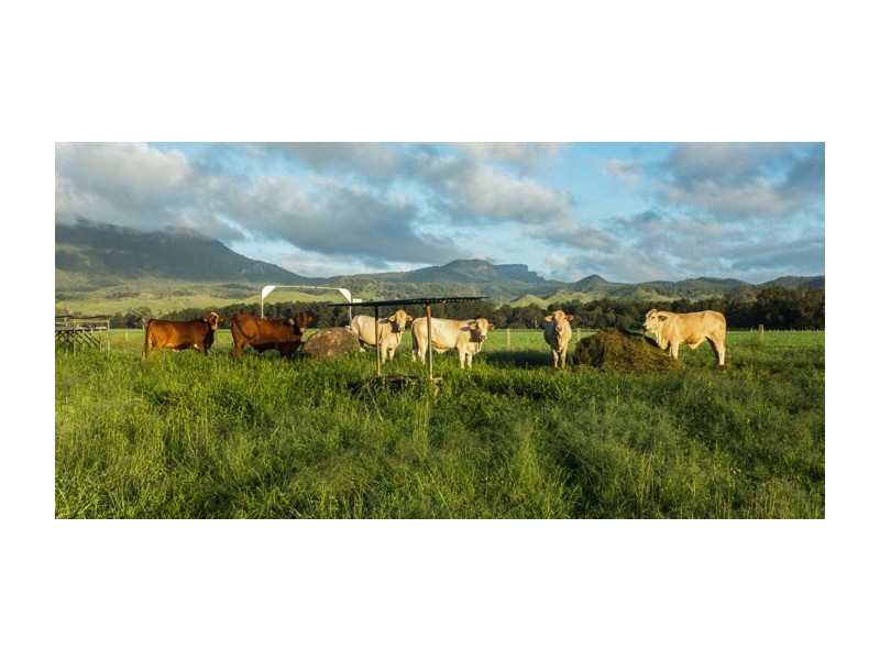 255 Dwyer Road, Tarome QLD 4309