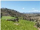 380 Kooralbyn Road, Kooralbyn QLD 4285