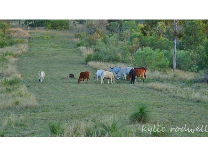 50 to 70 Merton Close,, Kooralbyn QLD 4285