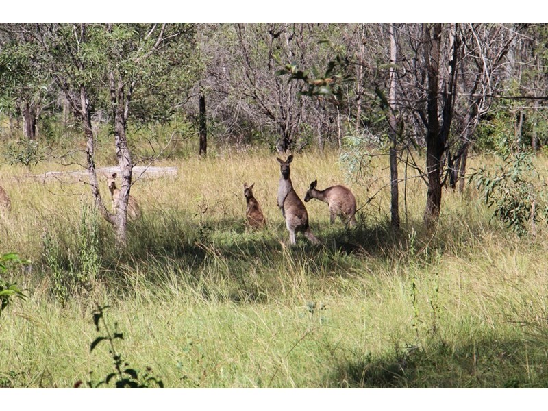 278 Boomerang Drive, Kooralbyn QLD 4285