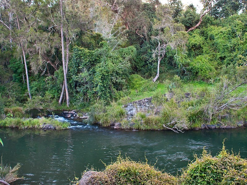 8 Reining Road, Canungra QLD 4275